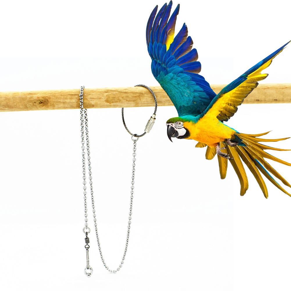 Pet Supplies Ringwood - 1 Cái Thú Cưng Vẹt Chân