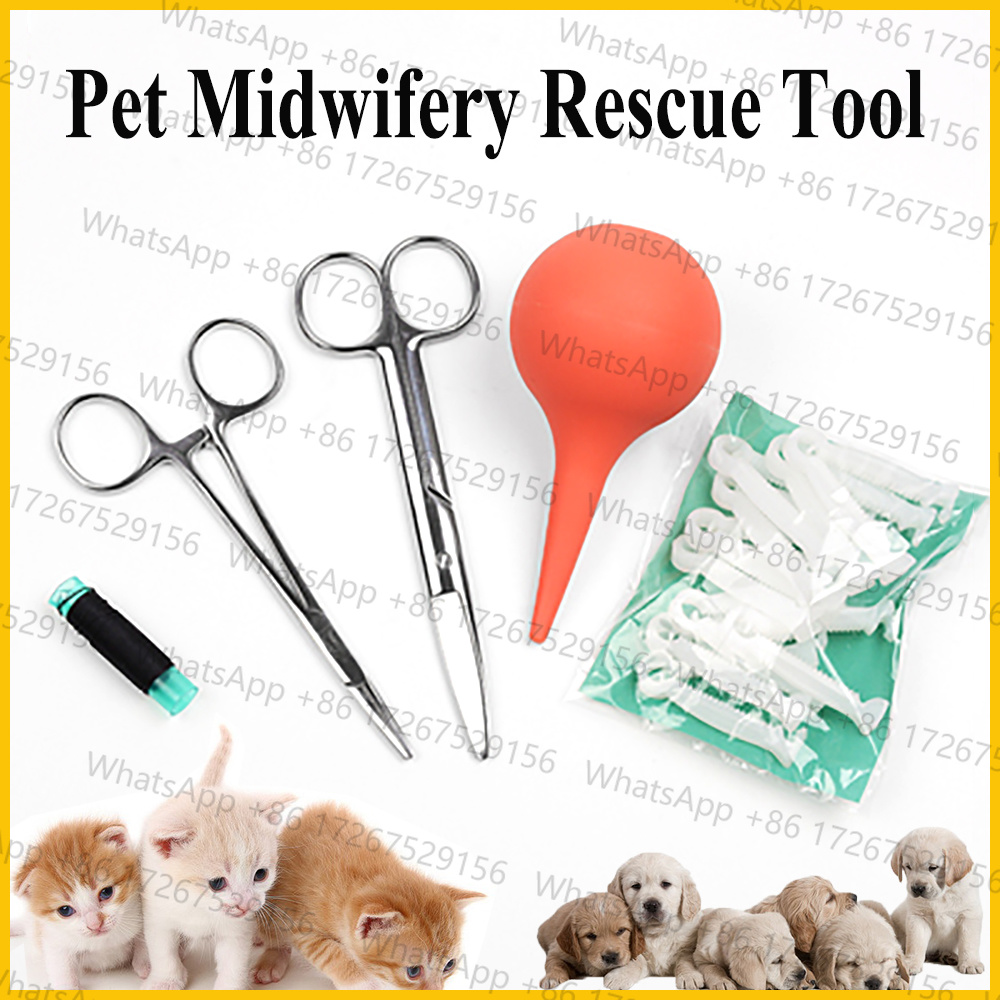 Pet Supplies Application - Applicable to1SET Pet Dog Cat Amniotic