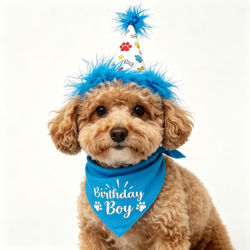 Dog Birthday Party Set Bandana - đánh giá và giá Pet Supplies In Bulk