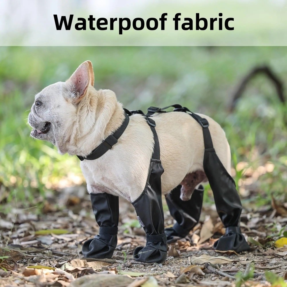 Anti-fall Waterproof Dog Shoes - đánh giá và giá Dog Booties Paw Protector