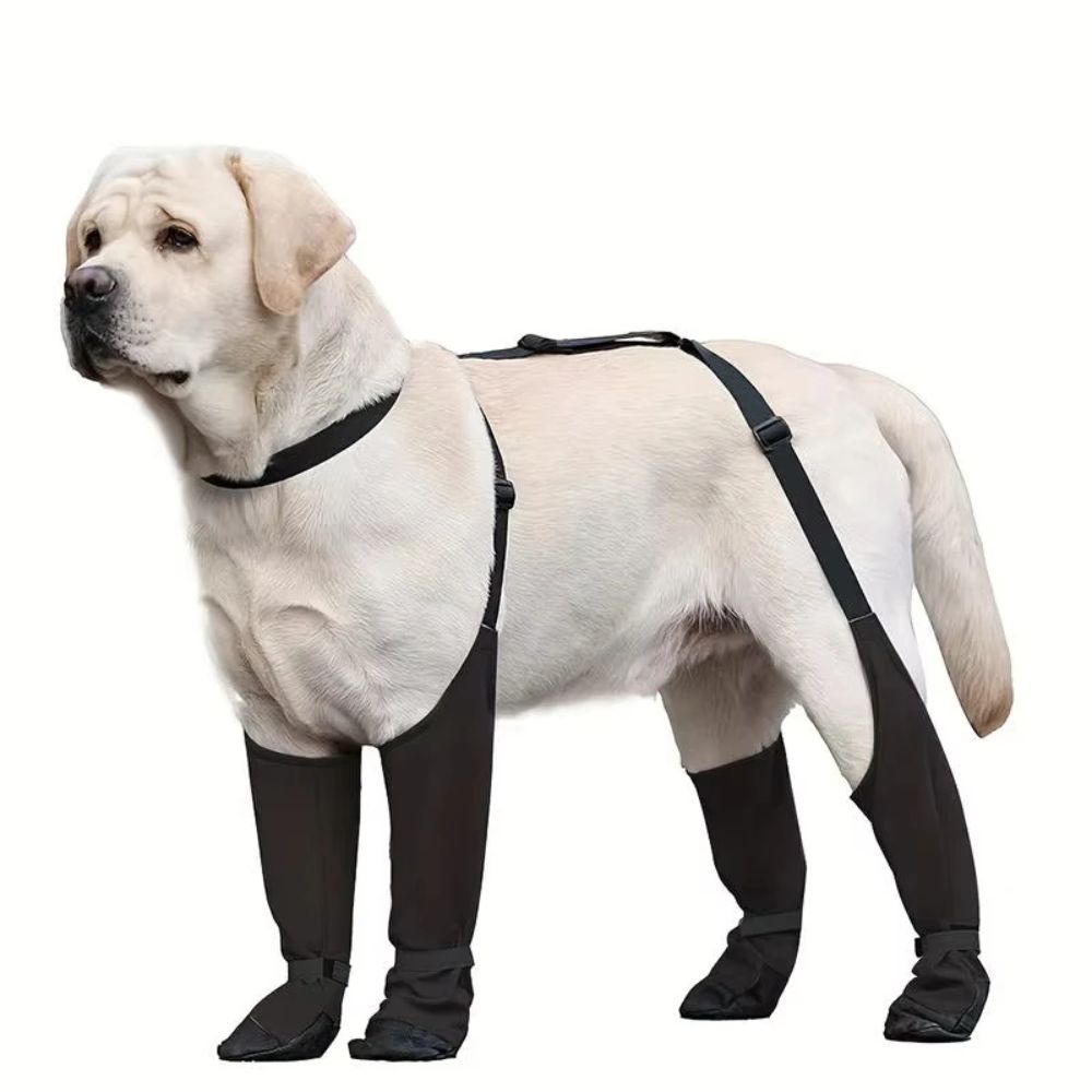 Anti-fall Waterproof Dog Shoes - đánh giá và giá Dog Booties Paw Protector