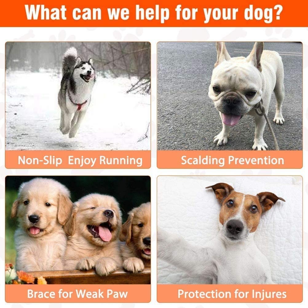 24 Chiếc Chú Chó Paw Tấm Bảo V - đánh giá và giá Dog Booties Paw Protector