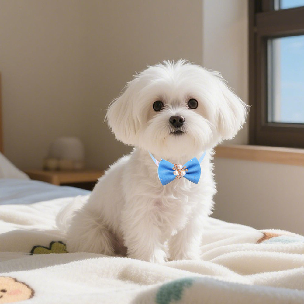 50pcs Bulk Pet Dog Bow Tie Fas - đánh giá và giá Pet Supplies In Bulk