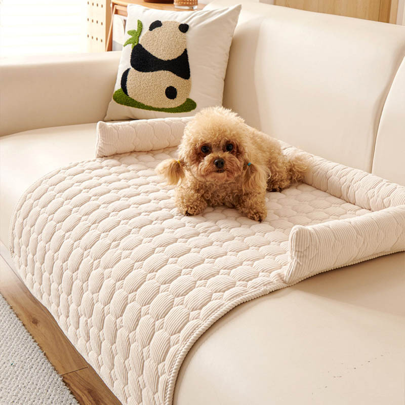 Popular cat and dog mats, pet  - đánh giá và giá Pet Supplies Application