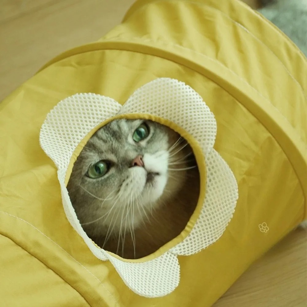 Portable Foldable Spiral Tunne - đánh giá và giá Pet Supplies In Store