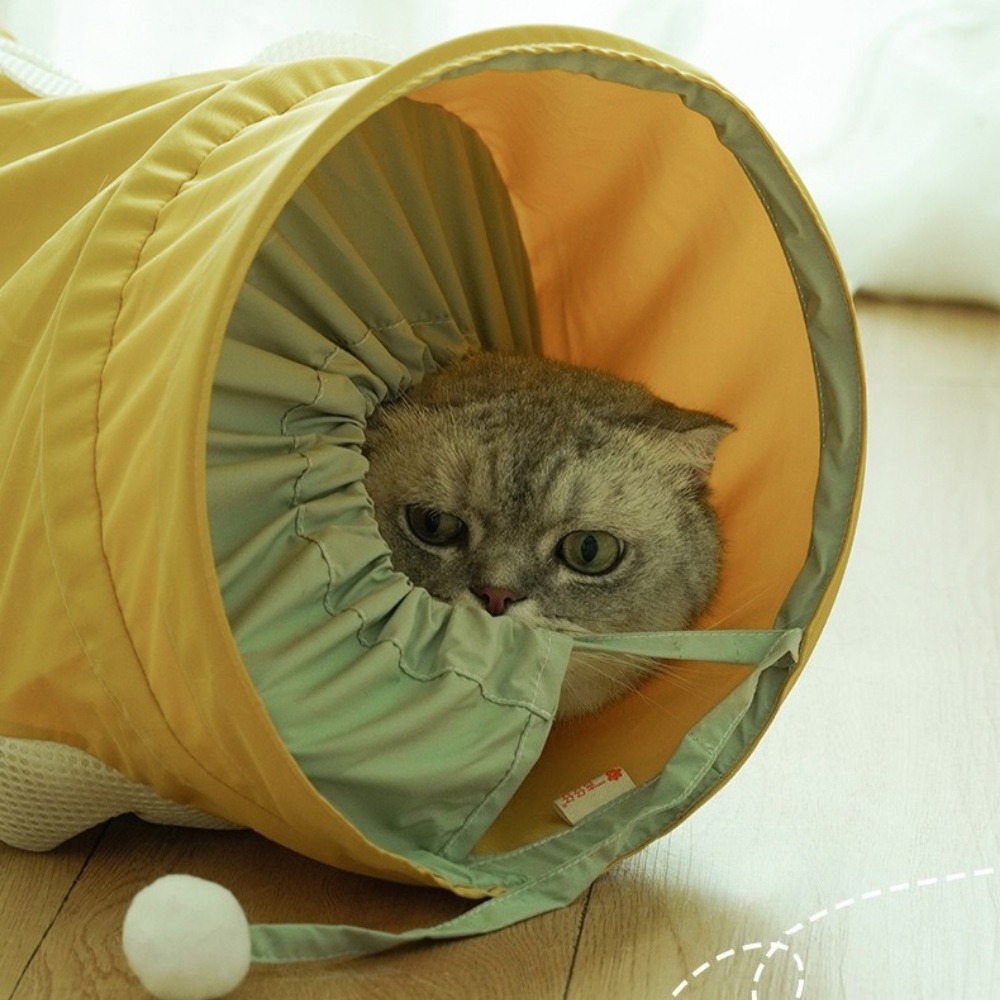 Portable Foldable Spiral Tunne - đánh giá và giá Pet Supplies In Store