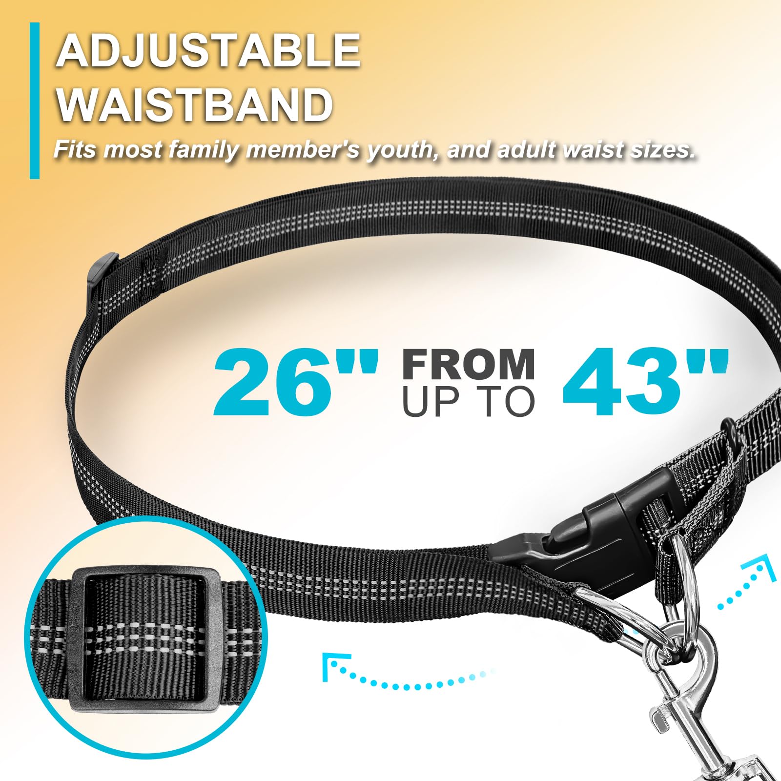 Double elastic reflective runn - đánh giá và giá Pet Supplies In Bulk
