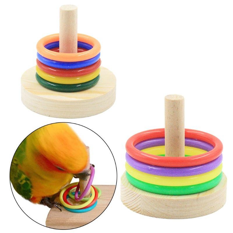 Chim Vẹt Đế Gỗ Nhẫn Nhựa Rèn L - đánh giá và giá Pet Supplies Ringwood