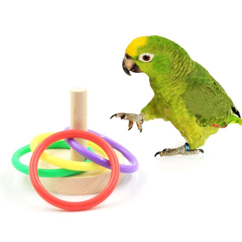 Chim Vẹt Đế Gỗ Nhẫn Nhựa Rèn L - đánh giá và giá Pet Supplies Ringwood