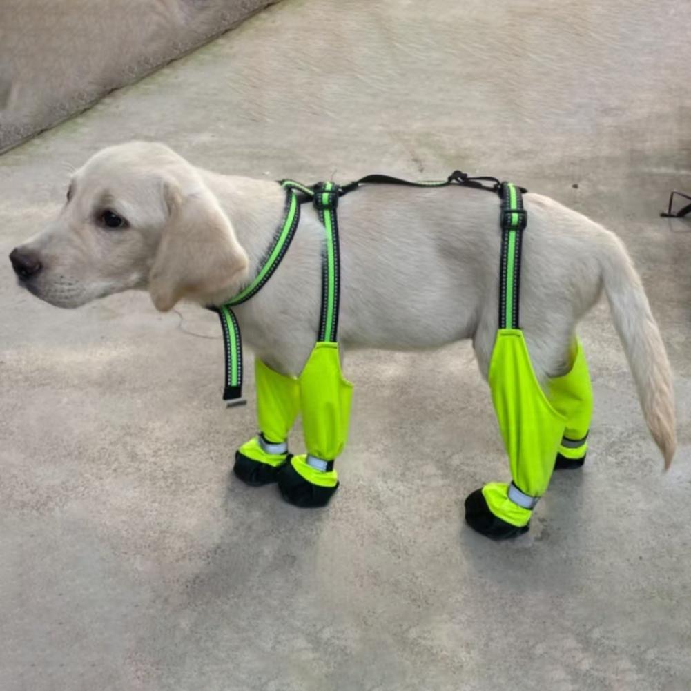 Dog Suspender Booties Anti-Sli - đánh giá và giá Dog Booties Paw Protector