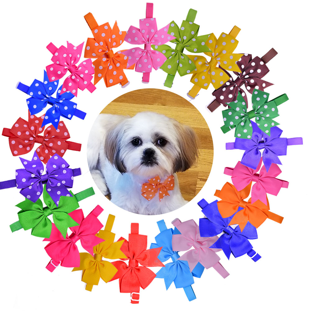 Sỉ Bộ 500 Chắc Chắn Chấm Chó Q - đánh giá và giá Pet Supplies In Bulk