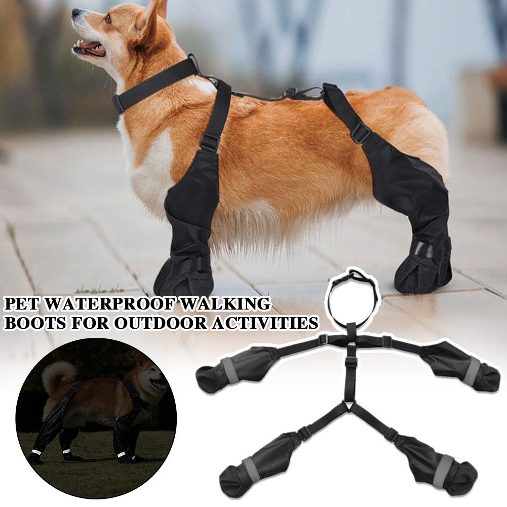 Dog Suspender Boots Waterproof - đánh giá và giá Dog Booties Paw Protector