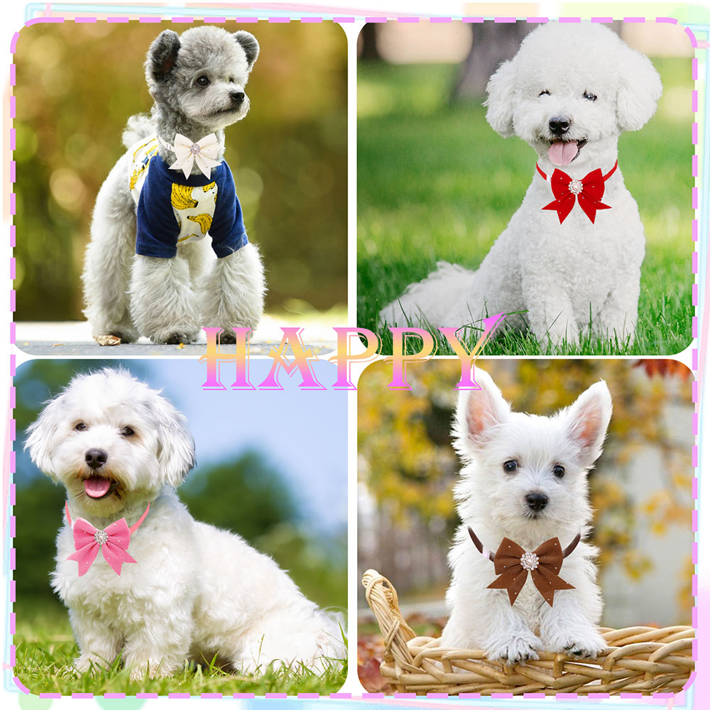 8PCS Dog Collar Floral Ribbon  - đánh giá và giá Pet Supplies In Bulk