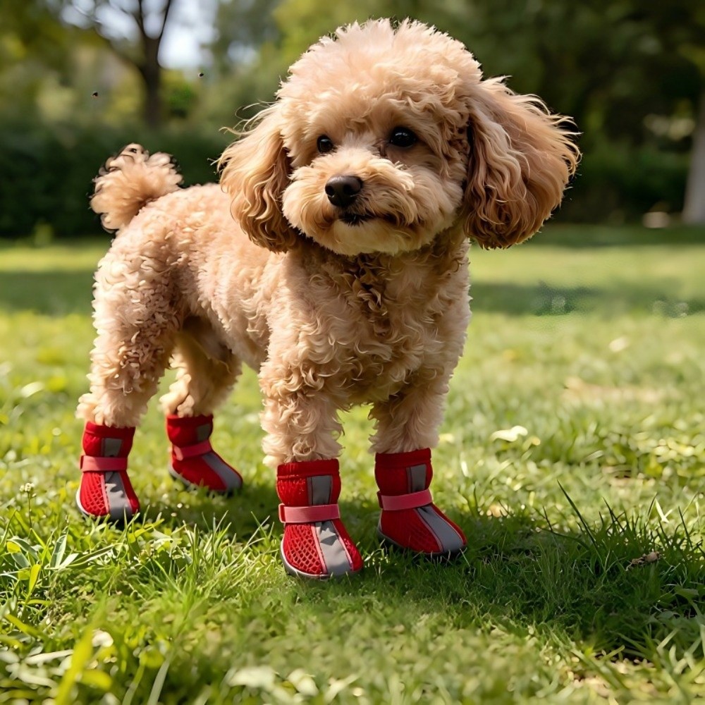 4PCS/SET Durable Non-Slip Dog  - đánh giá và giá Dog Booties Paw Protector