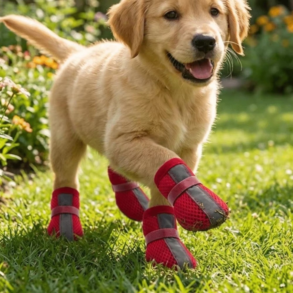 4PCS/SET Durable Non-Slip Dog  - đánh giá và giá Dog Booties Paw Protector