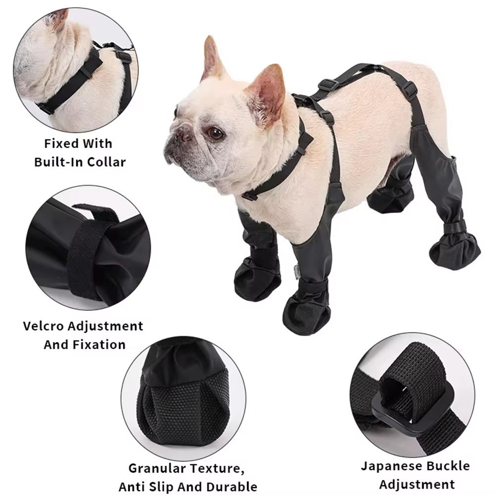 Anti-fall Waterproof Dog Shoes - đánh giá và giá Dog Booties Paw Protector
