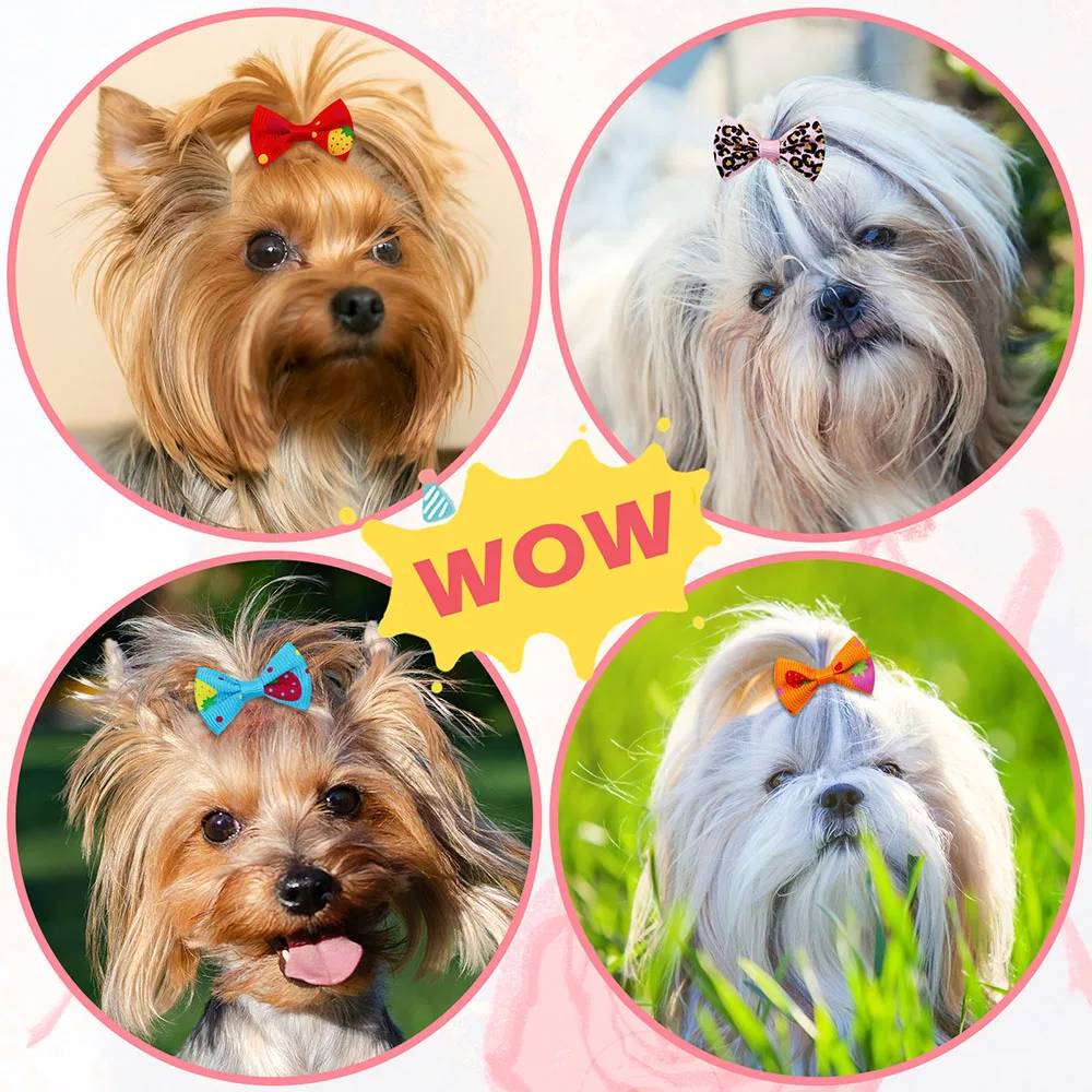 50PCS Dog Bows With Rubber Ban - đánh giá và giá Pet Supplies In Bulk